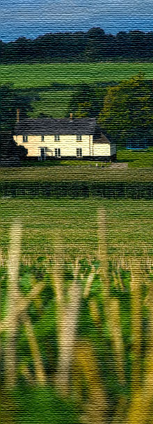 Glebe Farmhouse from the fields